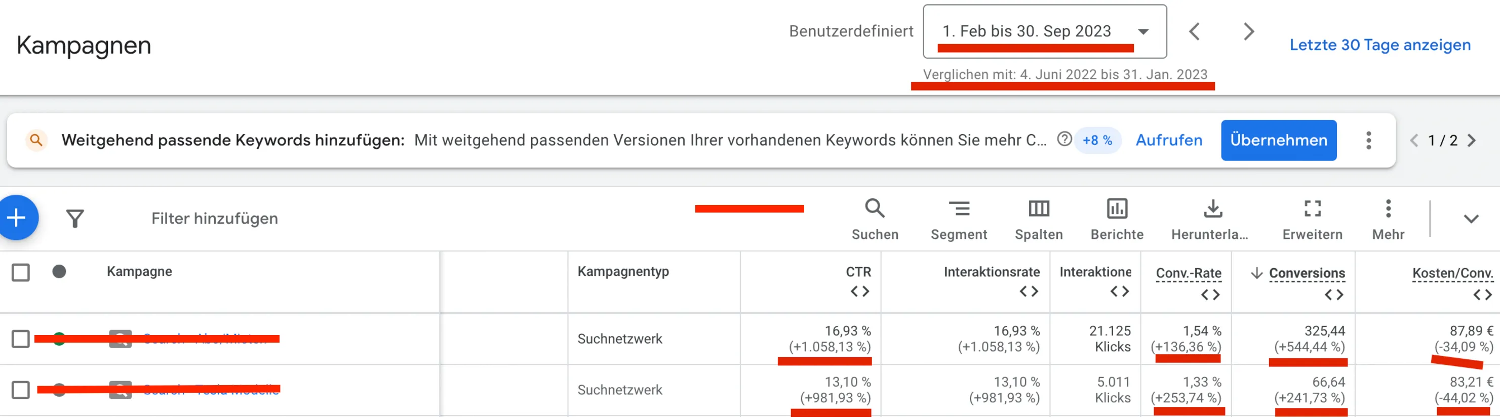 Google Ads Freelancer - Profi am Werk